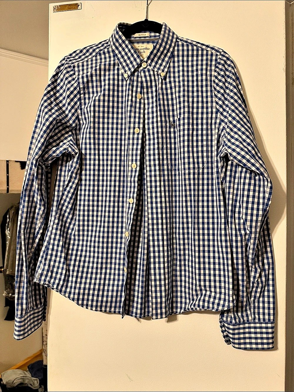 Abercrombie & Fitch Blue Gingham Muscle Button-Down Shirt Medium